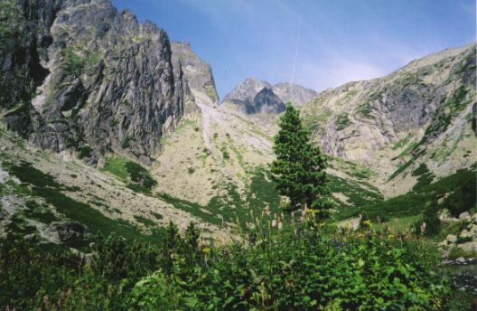 Looking up the Malý Studený potok valley